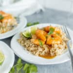 Savory shrimp taco rice bowl with fresh cilantro and lime wedges on white ceramic plate, featuring seasoned shrimp, fluffy rice, and flavorful sauce for a delicious Mexican-inspired meal.