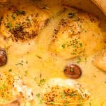 Creamy chicken thighs simmered with mushrooms in a savory sauce, garnished with fresh thyme. Perfect for a comforting and flavorful dinner recipe.