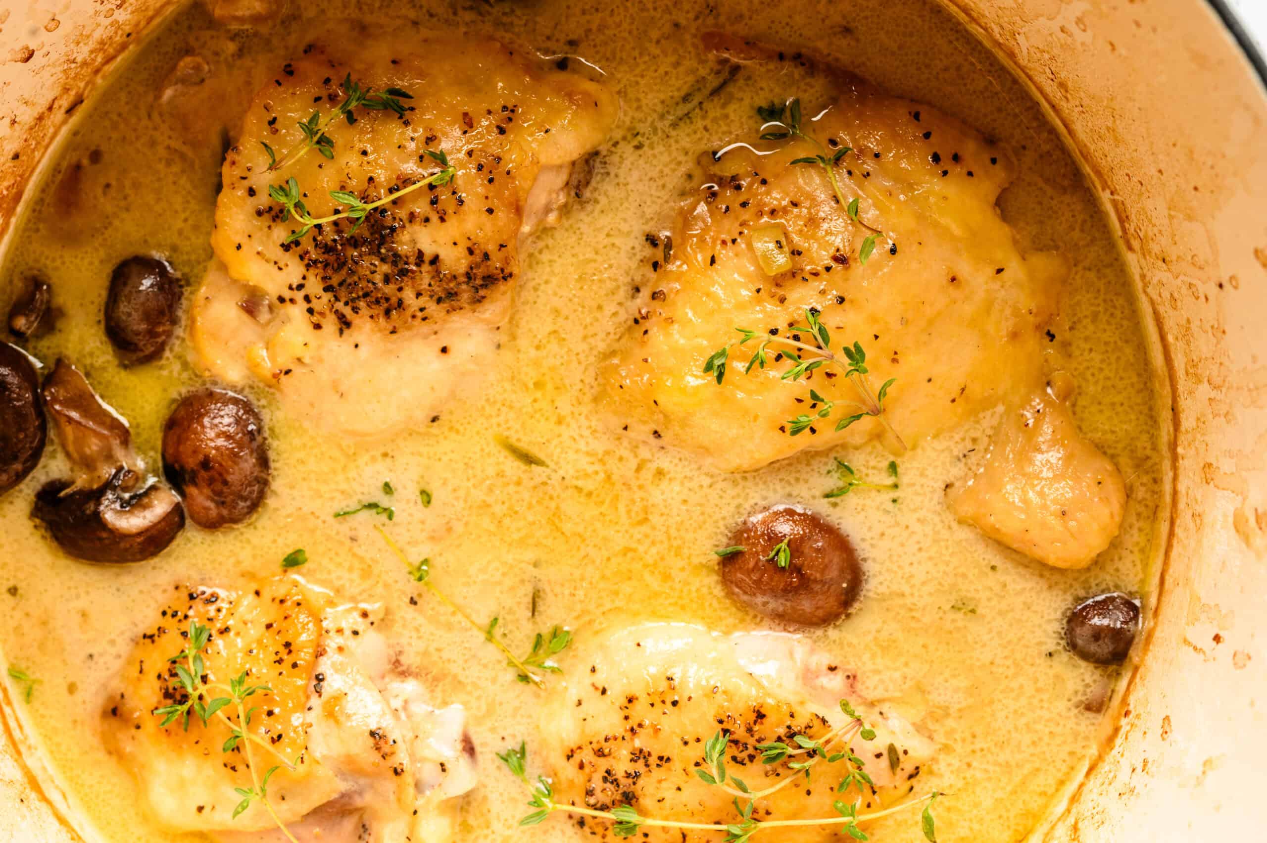 Creamy chicken thighs simmered with mushrooms in a savory sauce, garnished with fresh thyme. Perfect for a comforting and flavorful dinner recipe.