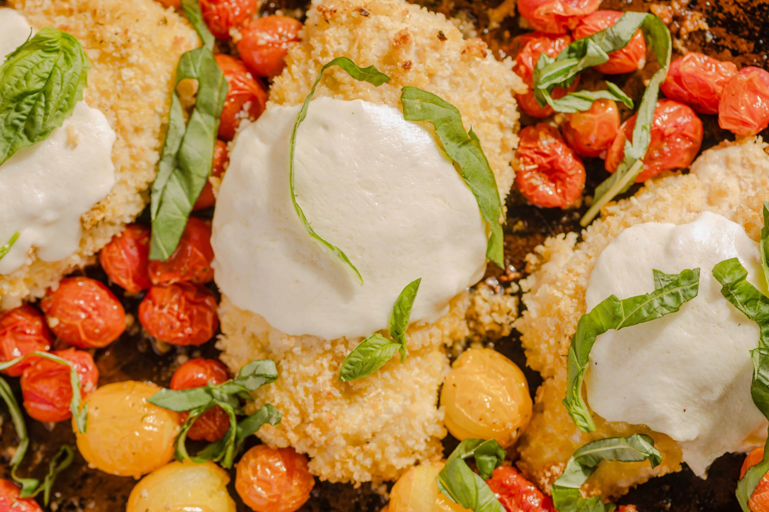 Crispy breaded chicken breasts topped with creamy burrata cheese, surrounded by roasted cherry tomatoes, fresh basil leaves, and caramelized yellow cherry tomatoes on a baking sheet.