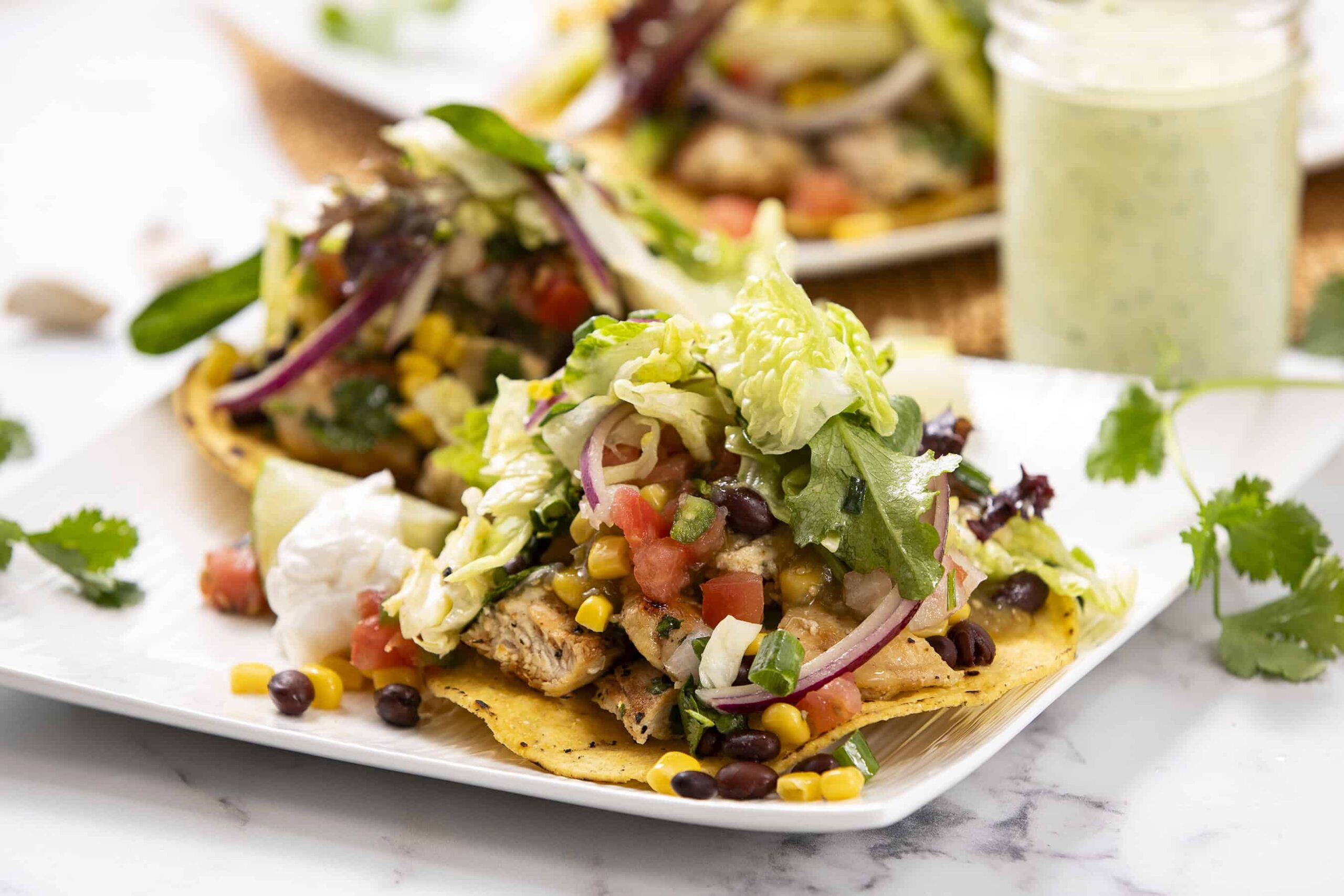 Fresh chicken taco with lettuce, tomatoes, black beans, corn, and salsa on a white plate with cilantro garnish.