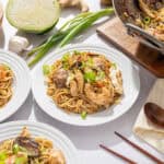Stir-fried Asian noodle dishes with chicken, vegetables, and green onions served on white plates, showcasing a flavorful and colorful presentation.